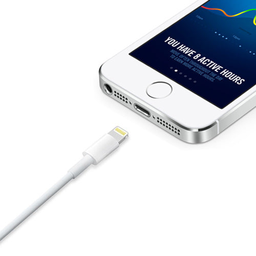 OEM USB Sync & Charge Cable for iPhone/iPad White