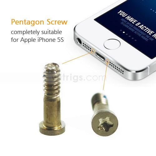 OEM 2PCS Bottom Screw Sets for iPhone 5S Gold