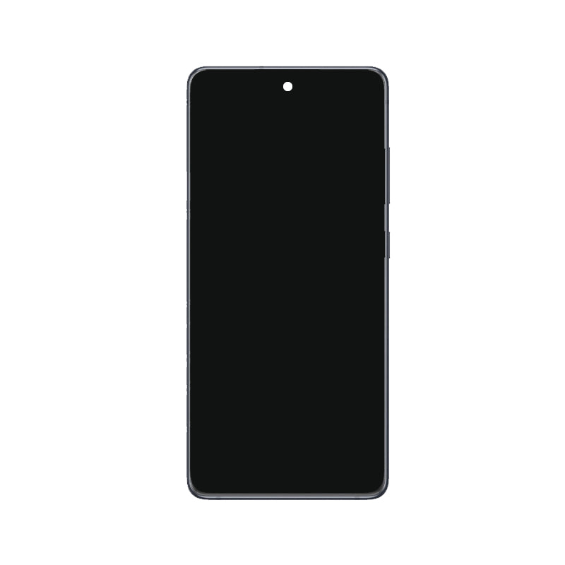 OEM Screen Replacement for Samsung Galaxy S20 FE 5G