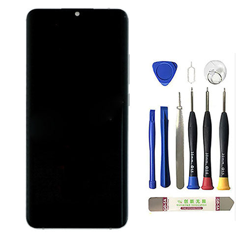 OEM Screen Replacement with Frame for Xiaomi Mi Note 10/Note 10 Pro Silver