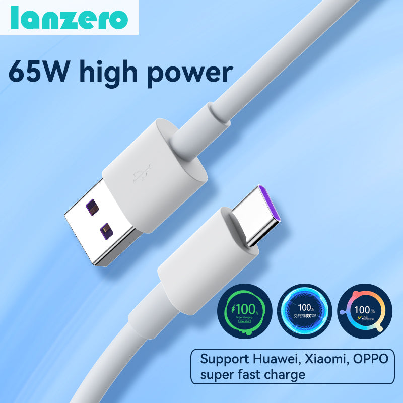 Lanzero 65W Type-C Fast Charging Data Cable