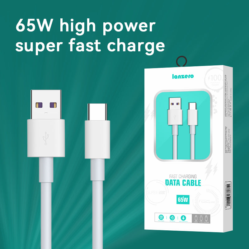 Lanzero 65W Type-C Fast Charging Data Cable