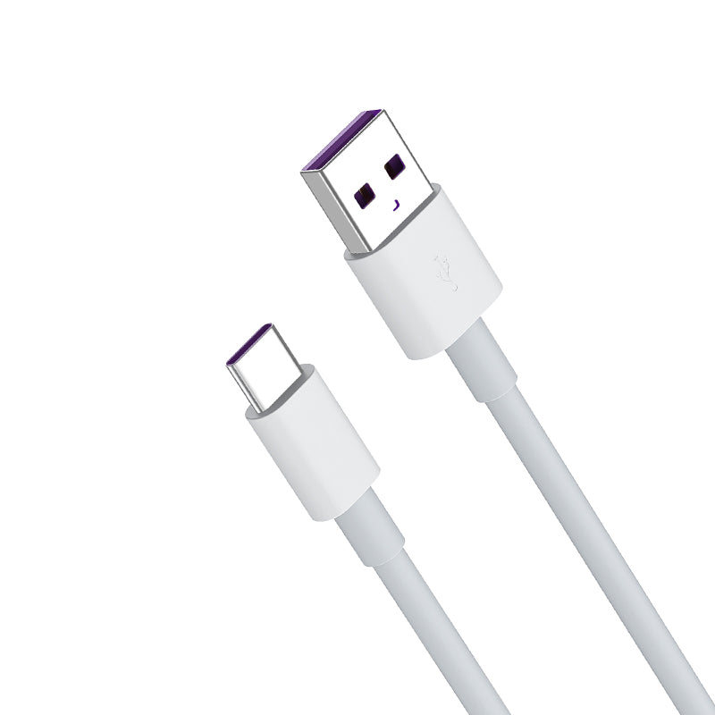 Lanzero 65W Type-C Fast Charging Data Cable