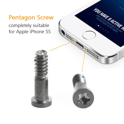 OEM 2PCS Bottom Screw Sets for iPhone 5S Silver