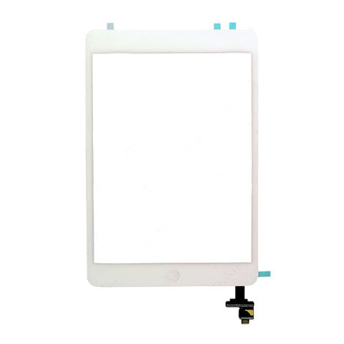 OEM Custom Digitizer + Home Button for Apple iPad mini Silver