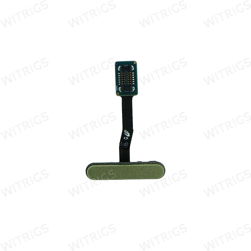 OEM Fingerprint scanner flex for Samsung Galaxy S10e Green